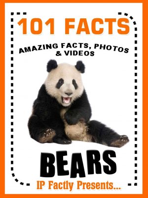Cover for 101 Facts . . . BEARS!