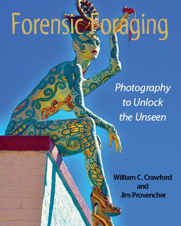 Cover for Forensic Foraging: Unlocking the Unseen with Photographs
