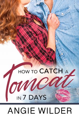 Cover for How to Catch a Tomcat in Seven Days
