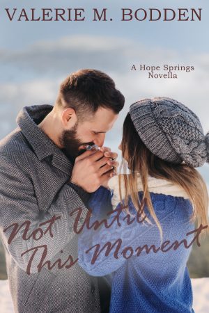 Cover for Not Until This Moment