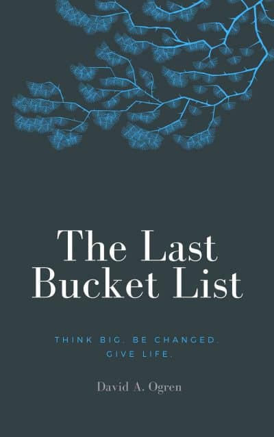 Cover for The Last Bucket List