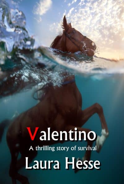 Cover for Valentino