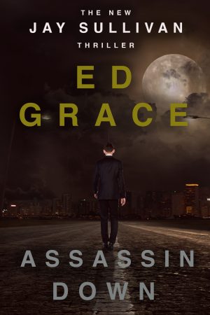 Cover for Assassin Down