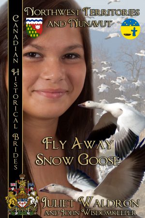Cover for Fly away Snow Goose
