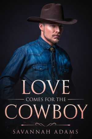 Cover for Love Comes for the Cowboy