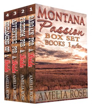 Cover for Mail Order Bride - Montana Passion 4 Book Box Set