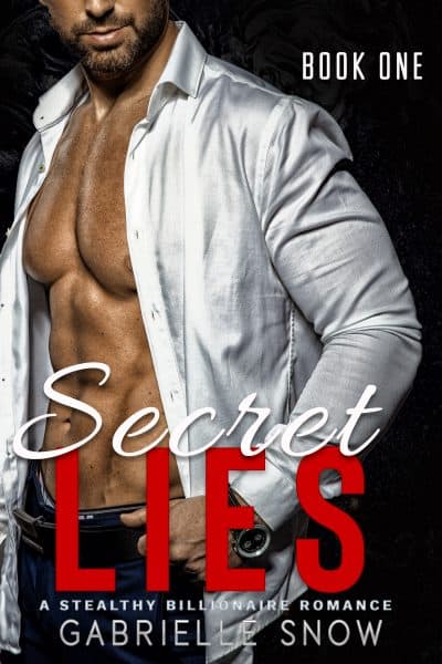 Cover for Secret Lies
