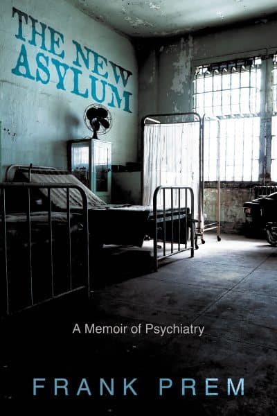 Cover for The New Asylum