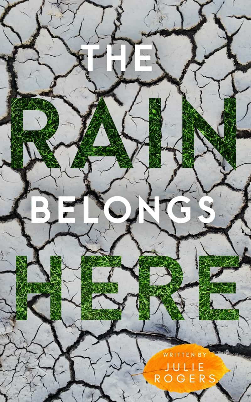 Cover for The Rain Belongs Here