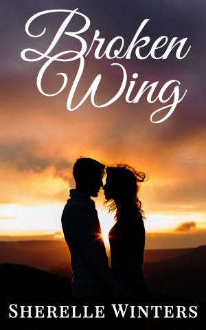 Cover for Broken Wing