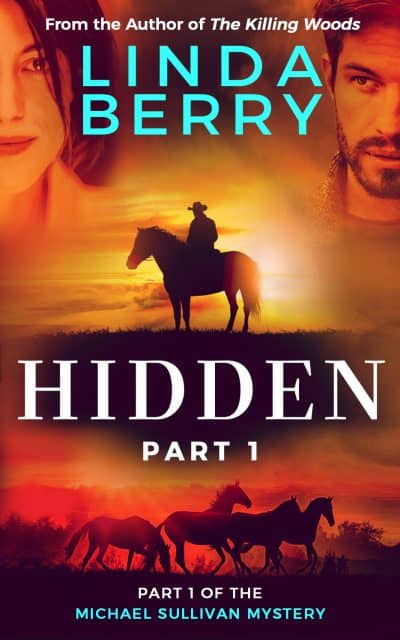 Cover for Hidden Part 1