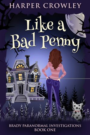 Cover for Like a Bad Penny