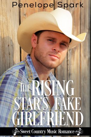 Cover for The Rising Star's Fake Girlfriend