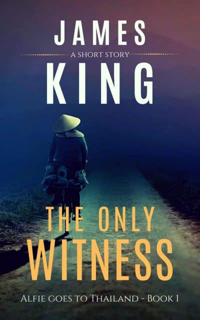 Cover for The Only Witness
