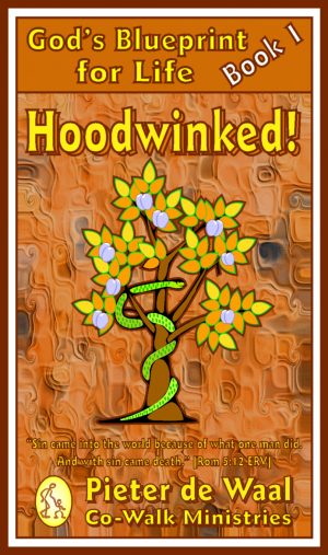 Cover for Hoodwinked
