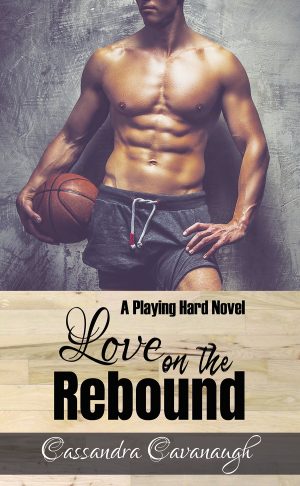 Cover for Love on the Rebound