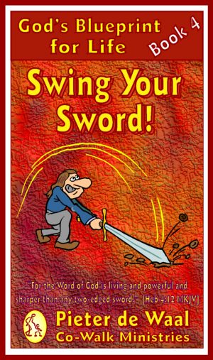 Cover for Swing Your Sword