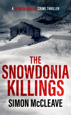 Cover for The Snowdonia Killings
