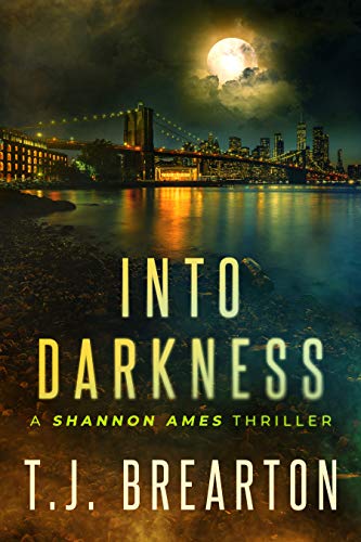 Cover for Into Darkness