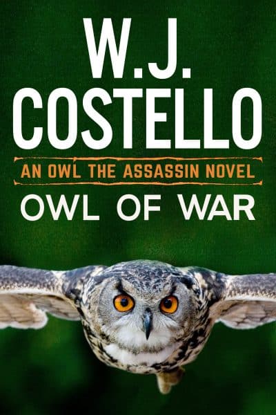 Cover for Owl of War