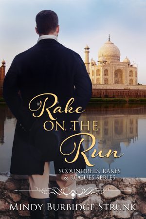 Cover for Rake on the Run