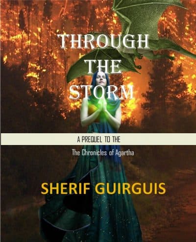 Cover for Through The Storm