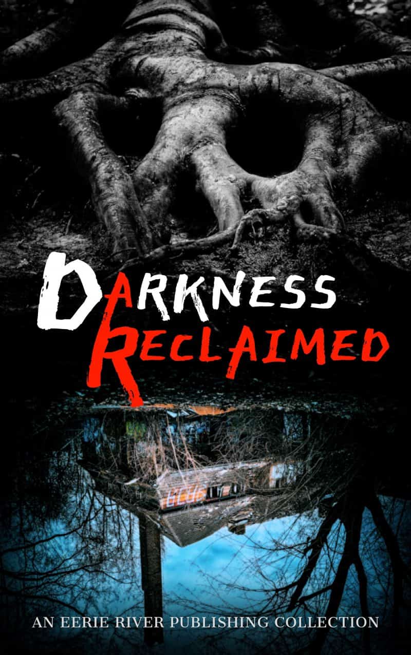 Cover for Darkness Reclaimed: Ten Gripping Stories of Evil Personified