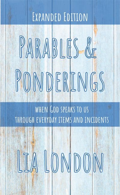 Cover for Parables and Ponderings