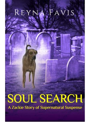 Cover for Soul Search