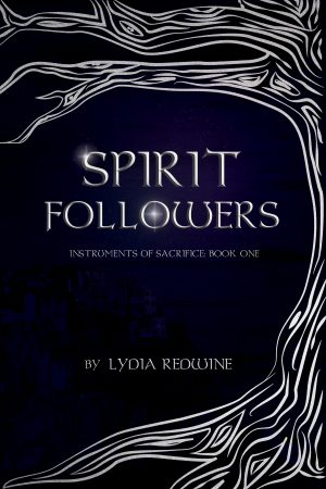 Cover for Spirit Followers
