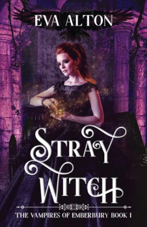 Cover for Stray Witch