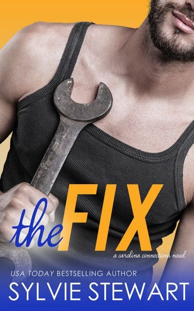 Cover for The Fix