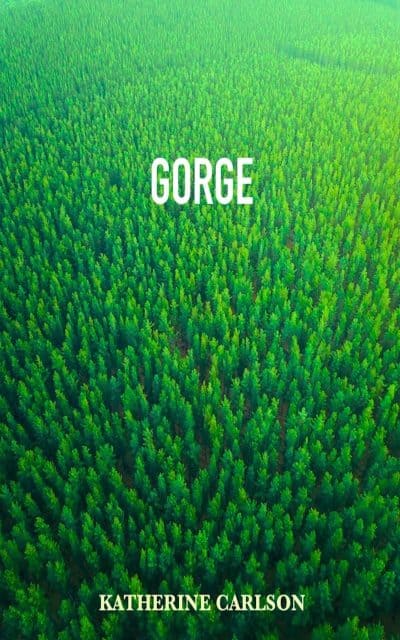 Cover for Gorge