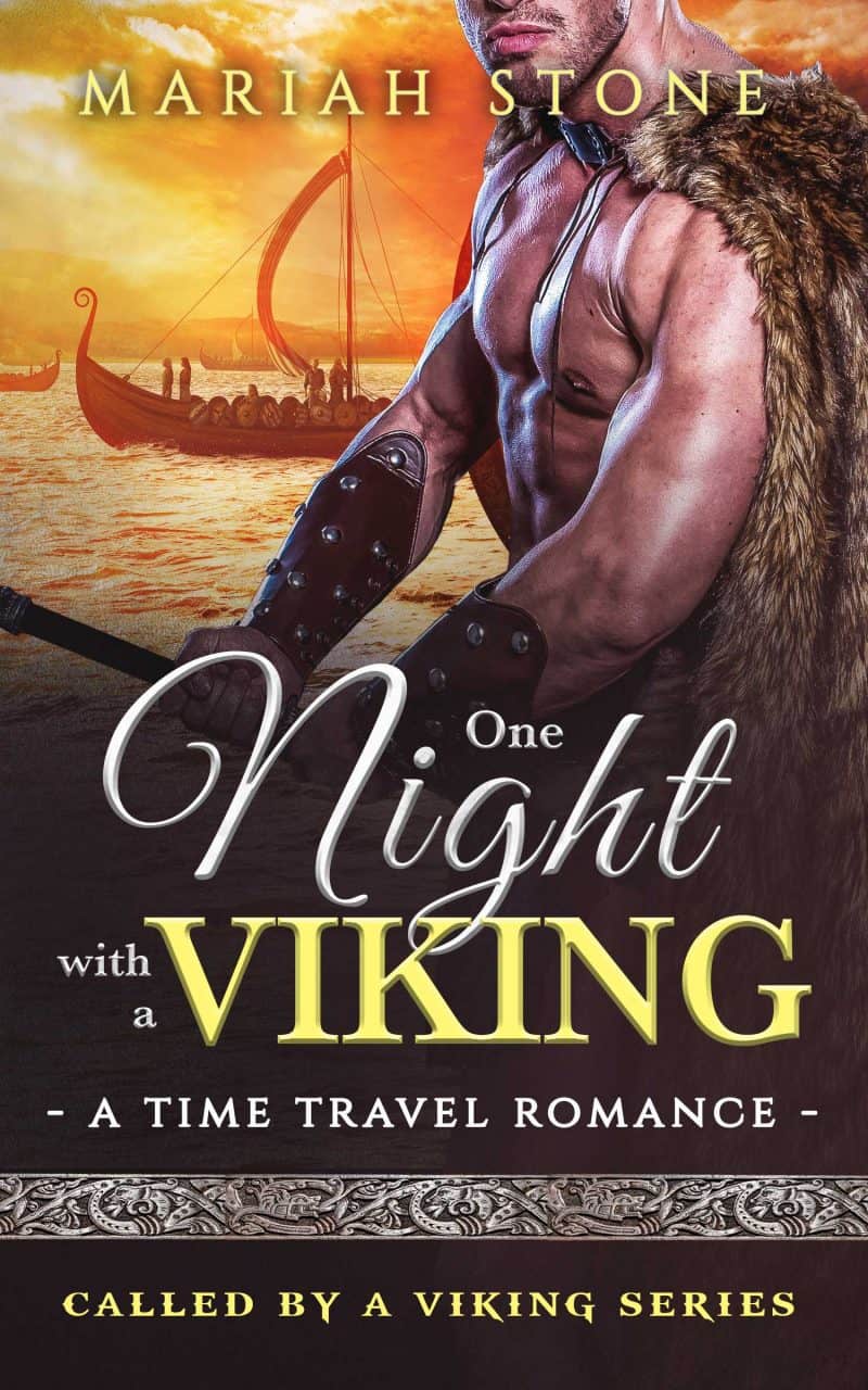 Cover for One Night with a Viking: A Time Travel Romance