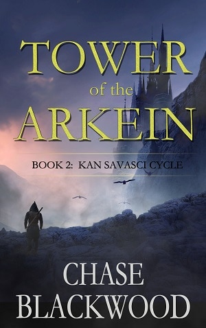 Cover for Tower of the Arkein