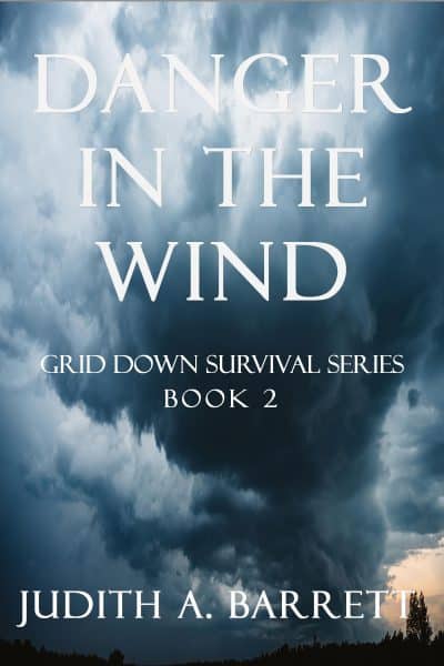 Cover for Danger in the Wind