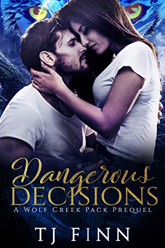 Cover for Dangerous Decisions