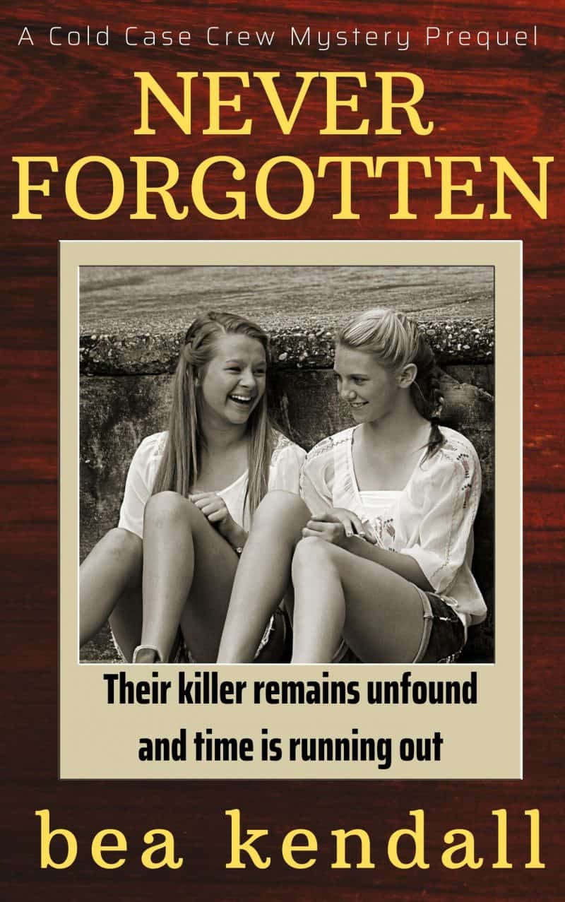 Cover for Never Forgotten