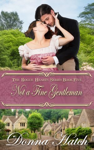 Cover for Not a Fine Gentleman