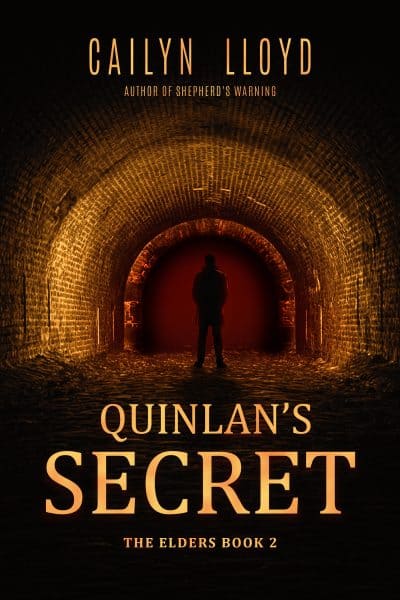 Cover for Quinlan's Secret