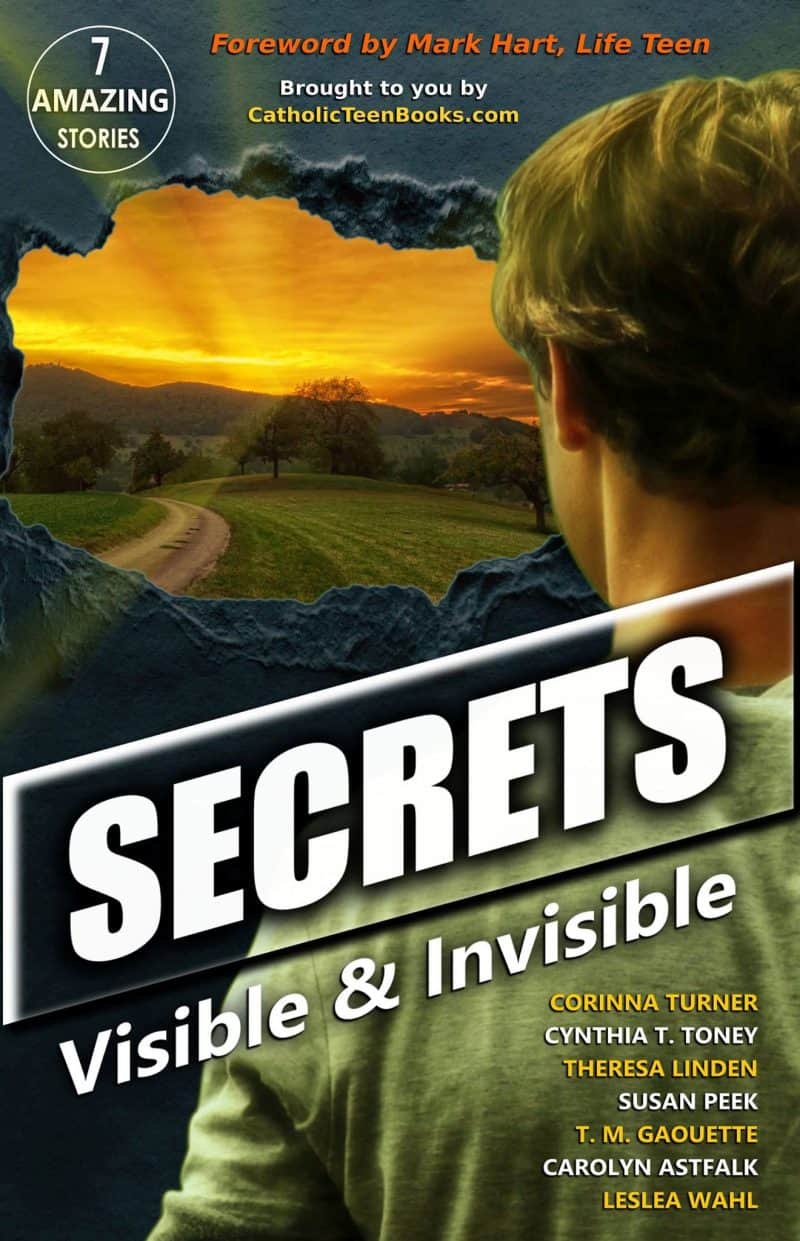 Cover for Secrets: Visible & Invisible
