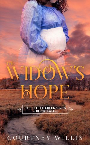 Cover for The Widow's Hope