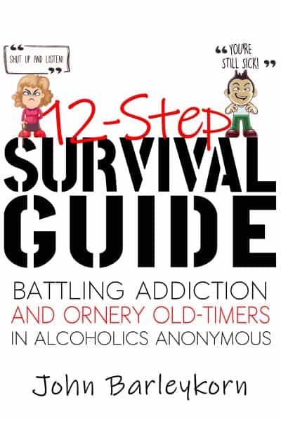 Cover for 12-Step Survival Guide