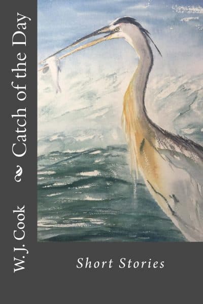 Cover for Catch of the Day
