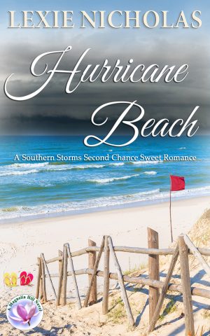 Cover for Hurricane Beach