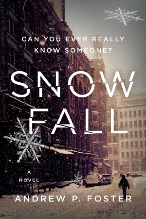 Cover for Snow Fall