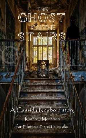 Cover for The Ghost on the Stairs