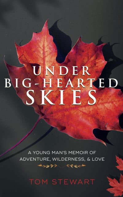 Cover for Under Big-Hearted Skies