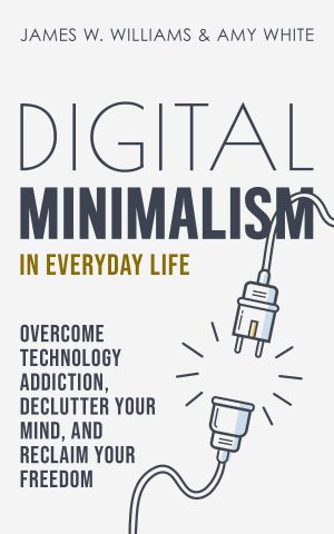 Cover for Digital Minimalism in Everyday Life