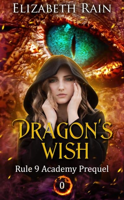 Cover for Dragon's Wish